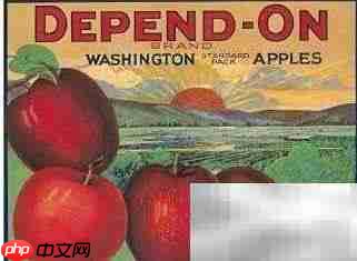 巧记英语不及物动词