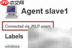 Jenkins主从节点安装指南