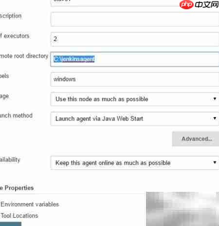 Jenkins主从节点安装指南