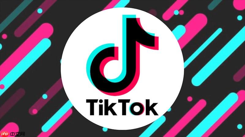 TikTok草稿视频消失了 TikTok草稿恢复操作指南