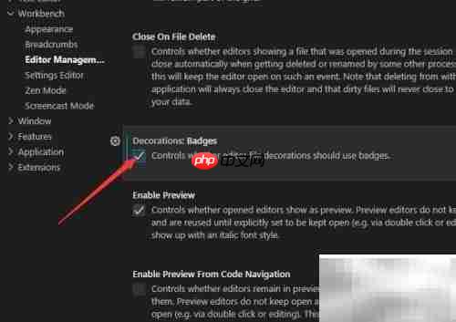 关闭VS Code装饰徽章方法