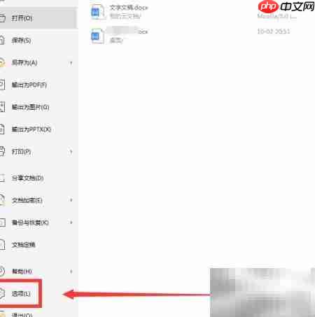 WPS人名分词设置方法