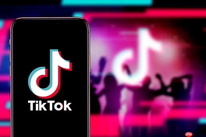 TikTok视频素材丢失怎么办