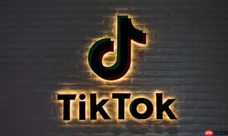 tiktok主页内容加载慢如何处理