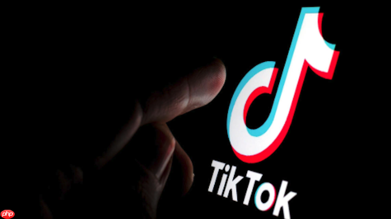 TikTok账号被限制发布如何解决