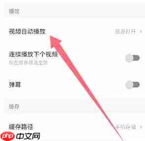 西瓜视频怎么开启视频自动播放？-西瓜视频开启视频自动播放的方法