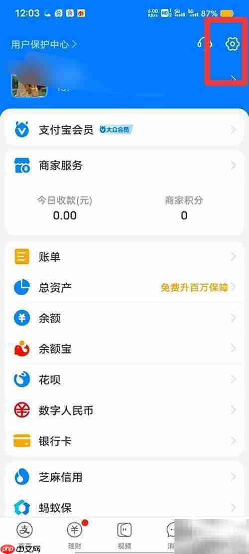 支付宝翻译工具开启方法