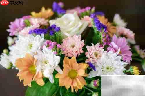 优秀商业计划书的核心要素