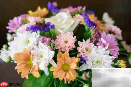 优秀商业计划书的核心要素