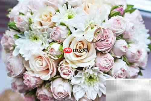 优秀商业计划书的核心要素