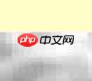 医院处方颜色分类解析