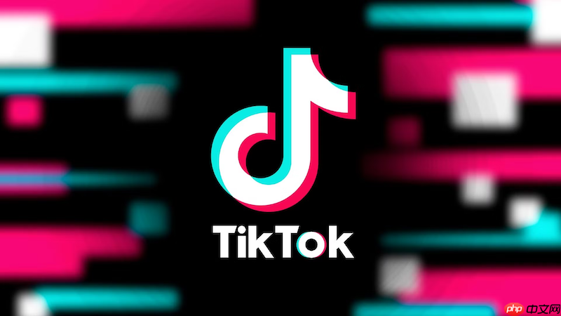 TikTok直播画面卡顿怎么办 TikTok直播画面优化与网络调整方法