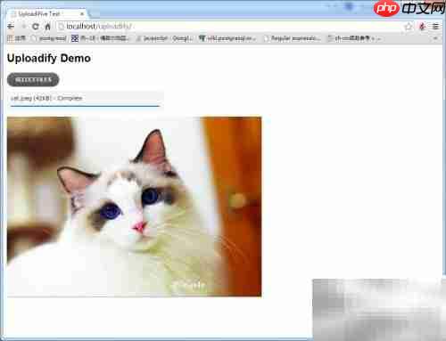 Uploadify图片上传预览