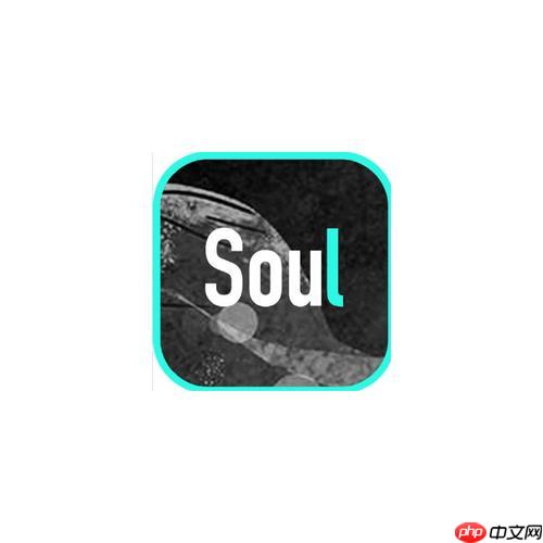 soul怎么快速匹配好友_soul快速匹配好友实用技巧