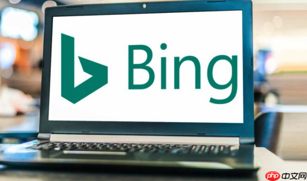 Bing浏览器怎么清除浏览数据_Bing浏览器历史数据清除操作指南