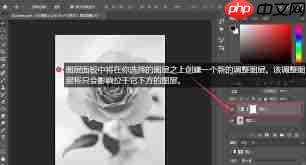 ps如何进行图层调色