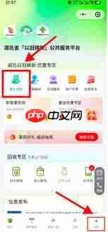 湖北国补券何时发放