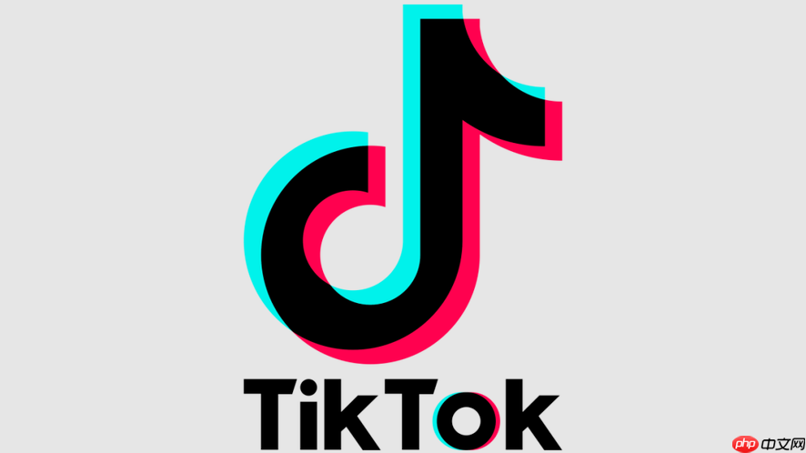 抖音tiktok官方下载地址在哪里 抖音tiktok官网入口快速访问