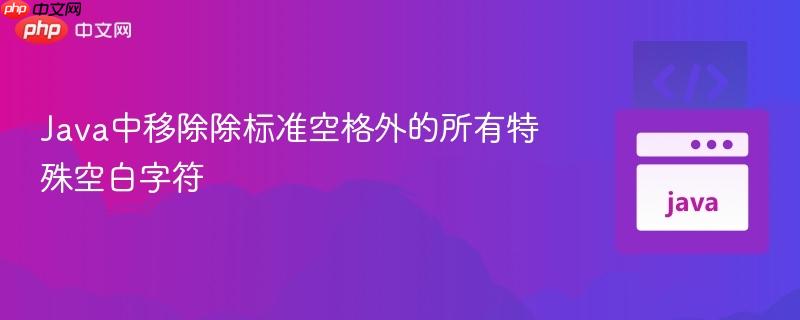 Java中移除除标准空格外的所有特殊空白字符