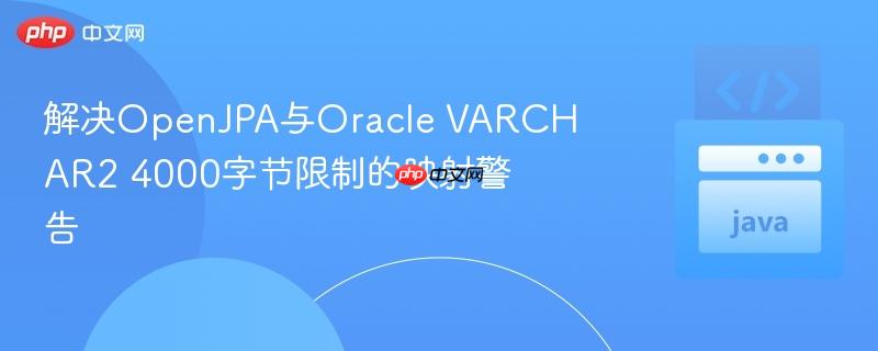 解决OpenJPA与Oracle VARCHAR2 4000字节限制的映射警告