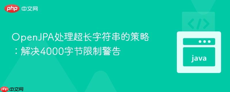 OpenJPA处理超长字符串的策略：解决4000字节限制警告