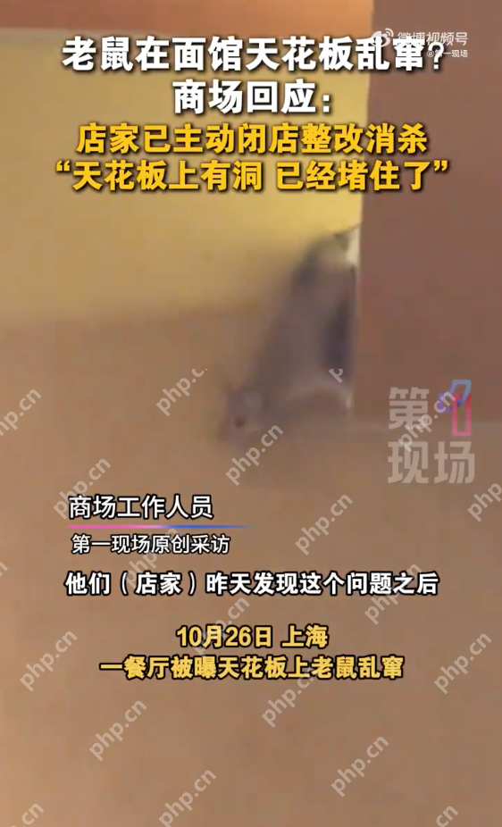 商场回应餐厅天花板上老鼠乱窜：已闭店整改进行消杀 - 创想鸟