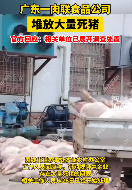 广东一肉联食品公司被指加工死猪 多方回应：未流入市场，多部门联合执法在调查 - 创想鸟