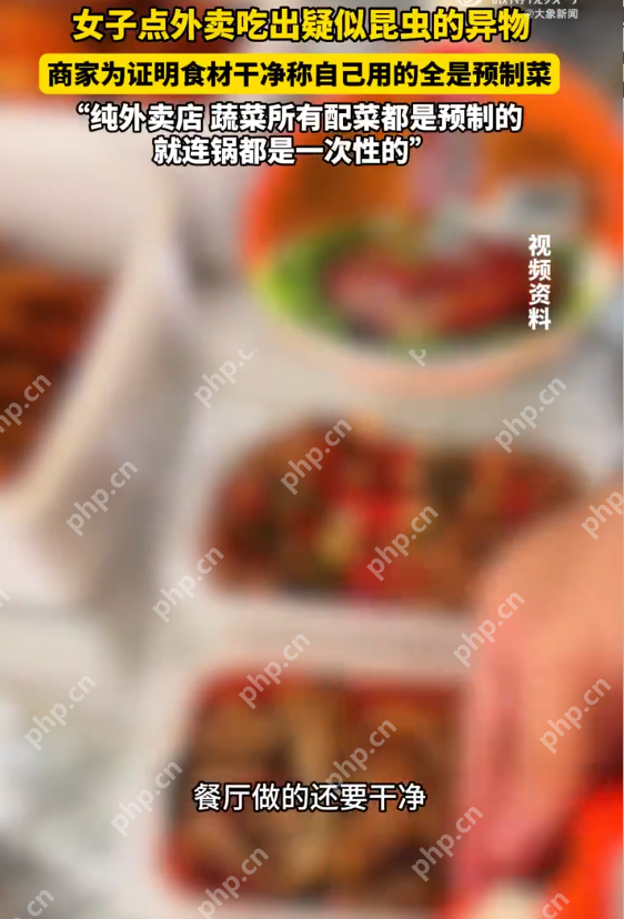 外卖吃出异物商家称全是预制菜 当事人：已在平台申请退款 - 创想鸟