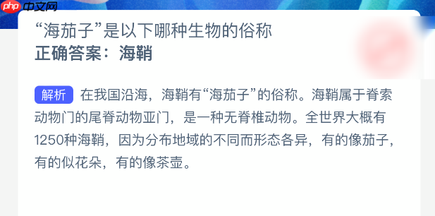 海茄子是以下哪种生物的俗称