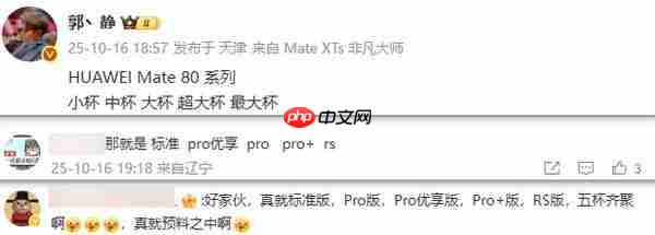  曝华为 Mate 80 系列将推 5 款新机 含优享版 11 月底发布？