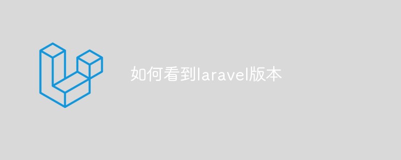 如何看到laravel版本