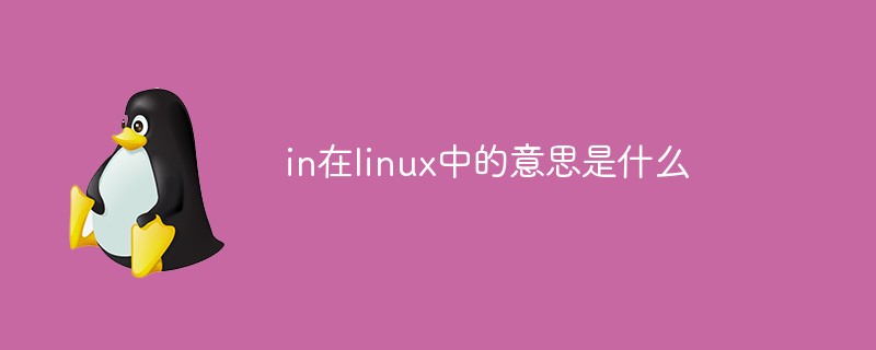 in在linux中的意思是什么