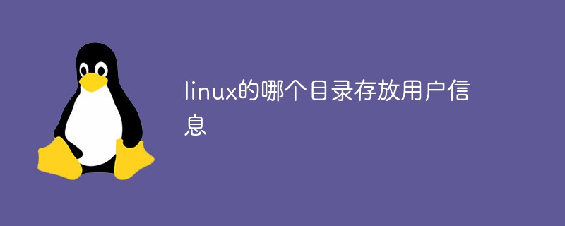 linux的哪个目录存放用户信息