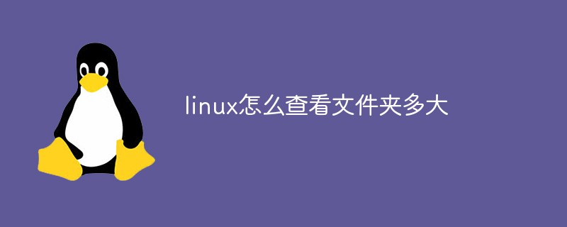 linux怎么查看文件夹多大