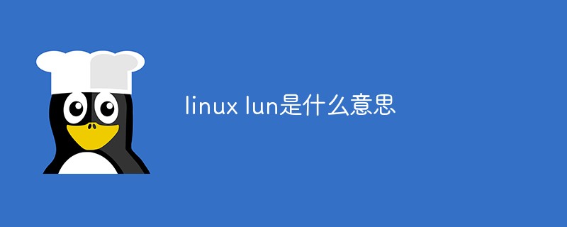 linux lun是什么意思