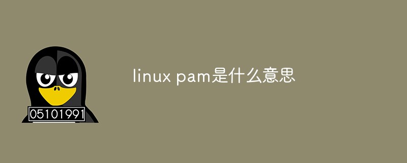 linux pam是什么意思