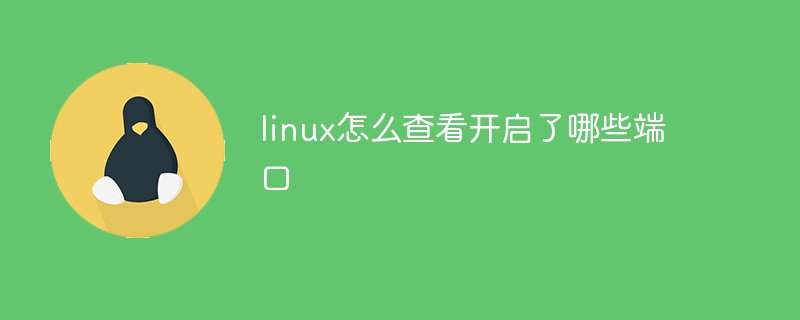 linux怎么查看开启了哪些端口
