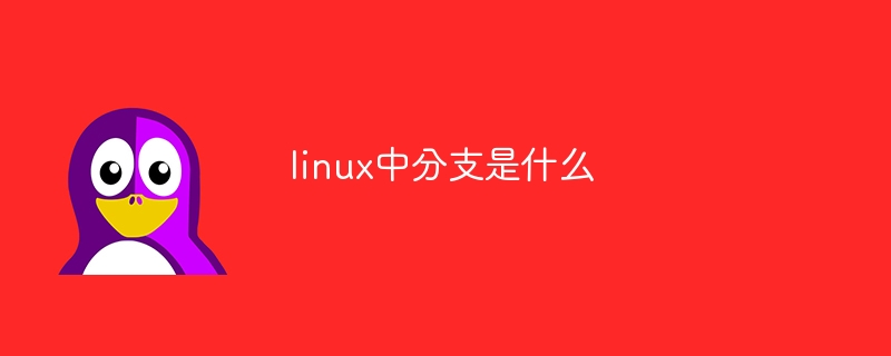 linux中分支是什么