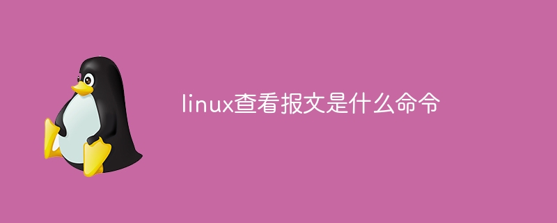 linux查看报文是什么命令