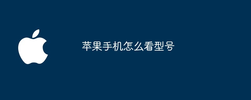 苹果手机怎么看型号