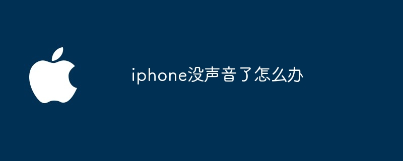 iphone没声音了怎么办