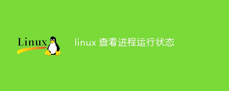 linux 查看进程运行状态