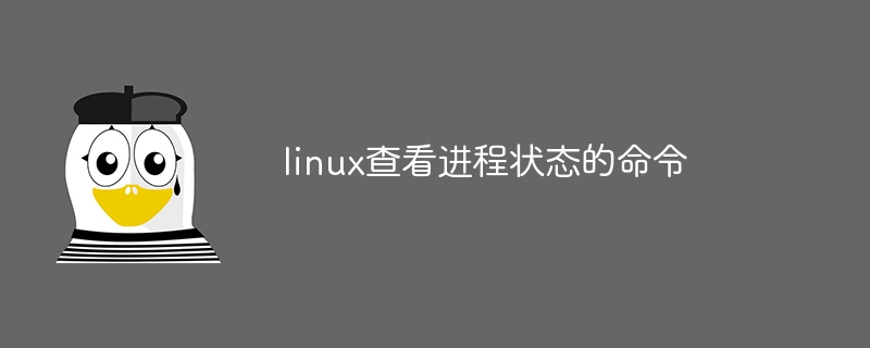 linux查看进程状态的命令