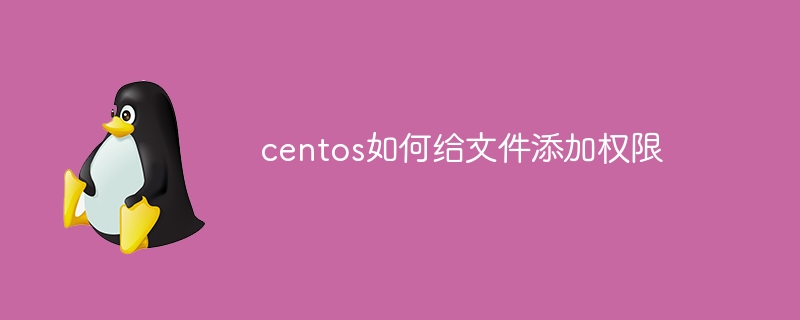 centos如何给文件添加权限