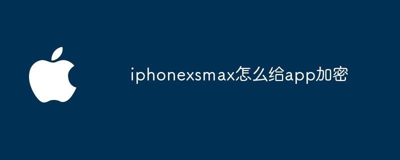 iphonexsmax怎么给app加密