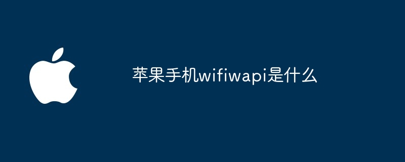 苹果手机wifiwapi是什么