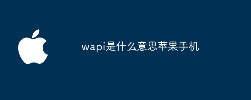 wapi是什么意思苹果手机