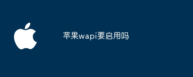 苹果wapi要启用吗