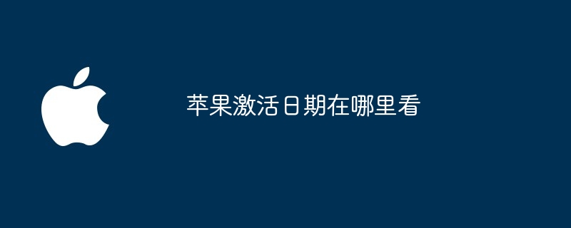 苹果激活日期在哪里看