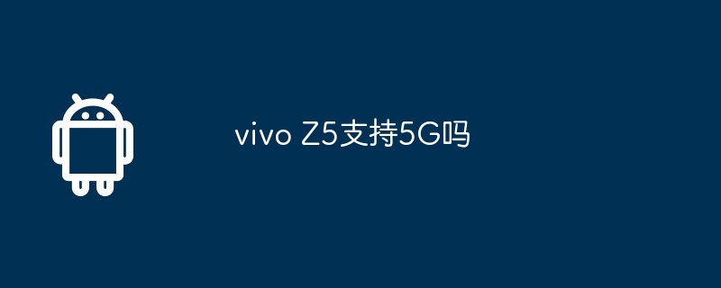 vivo Z5支持5G吗